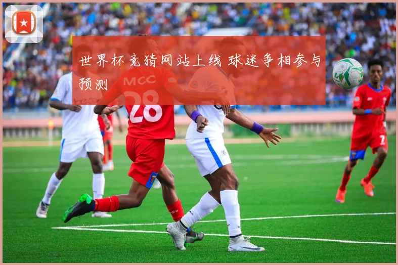 世界杯竞猜网站上线 球迷争相参与预测