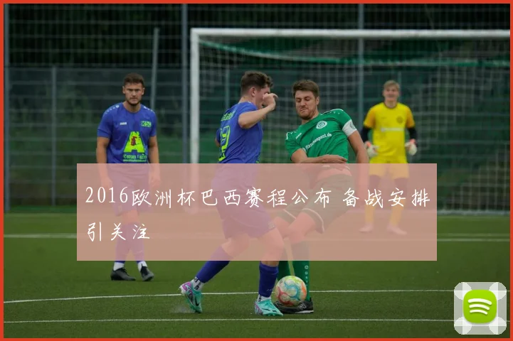 2016欧洲杯巴西赛程公布 备战安排引关注